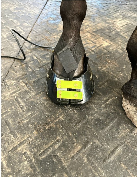 Revitavet Red Light Hoofpad