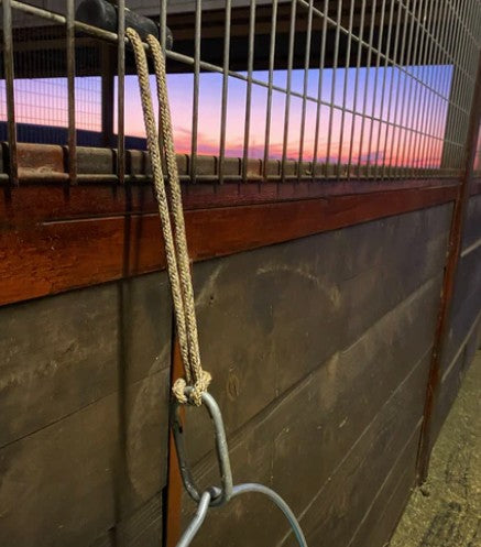 Hay Chicks Bucket Strap