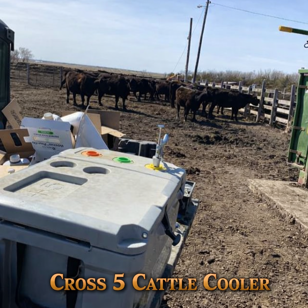 Big Frig Cross 5 Cattle Cooler