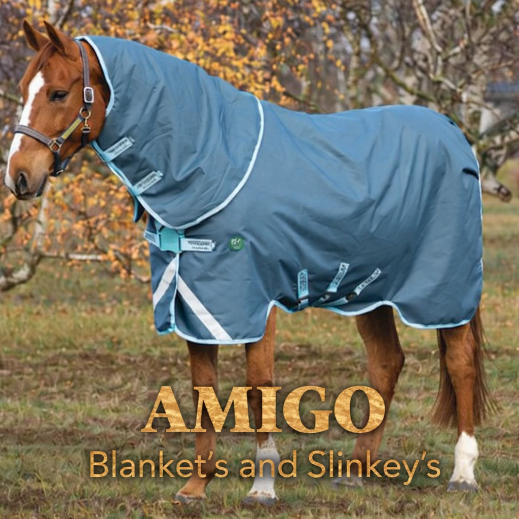 Amigo Blanket's & Slinkey's