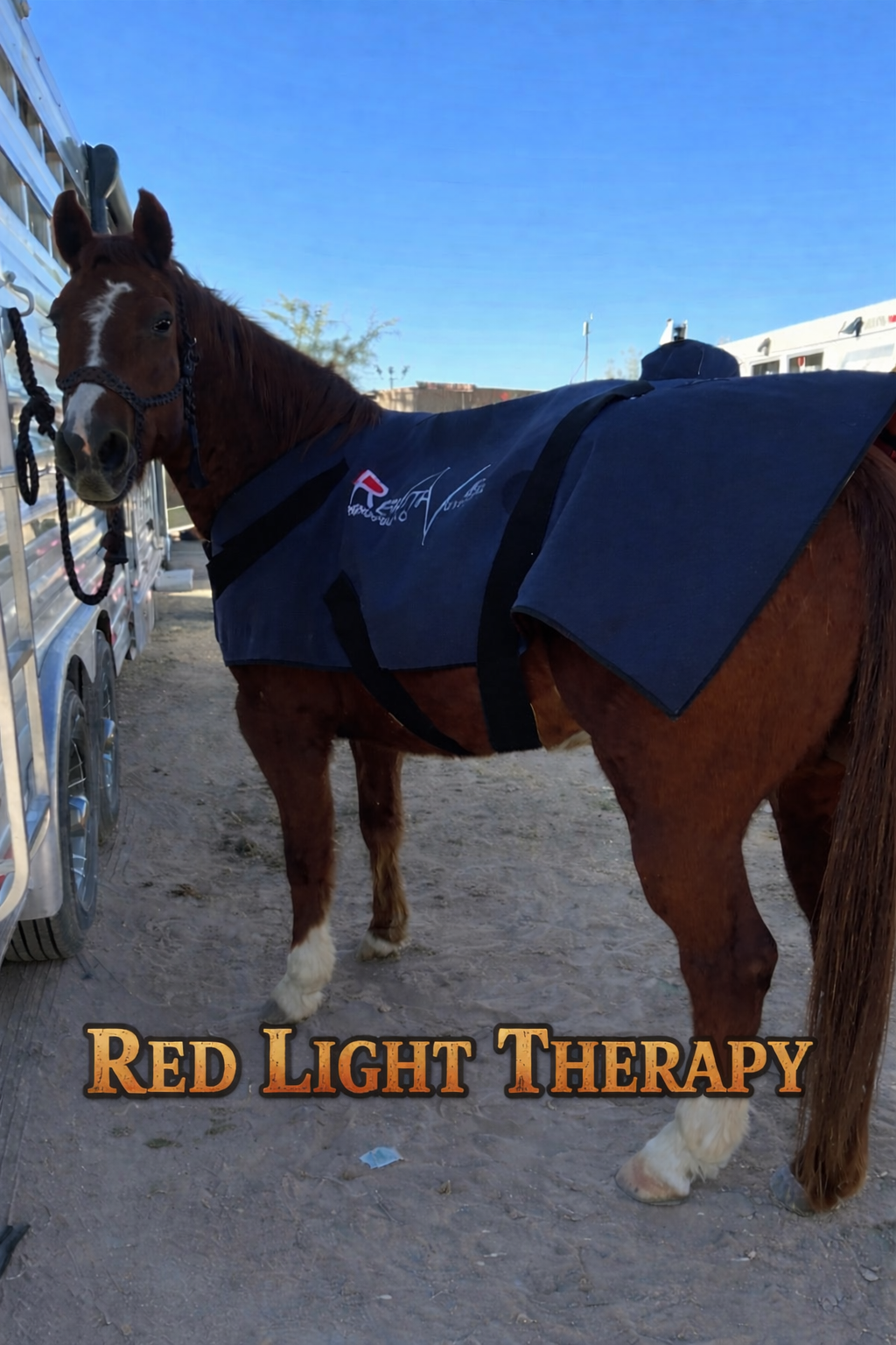 Revitavet Redlight Therapy