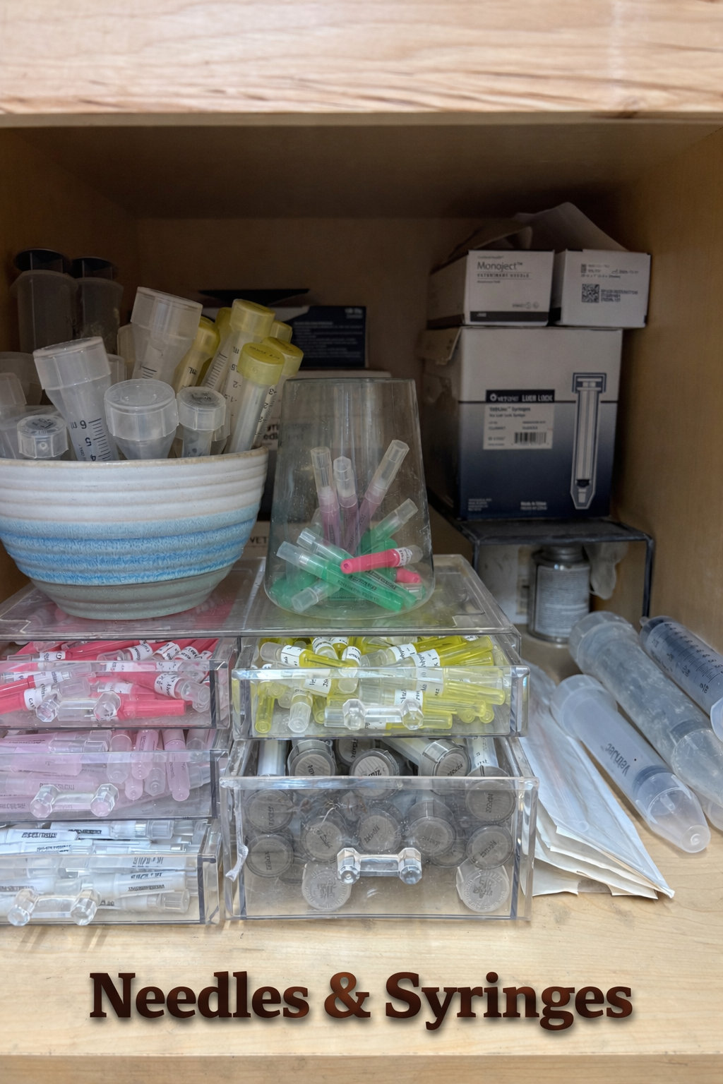 Disposable Needles & Syringes