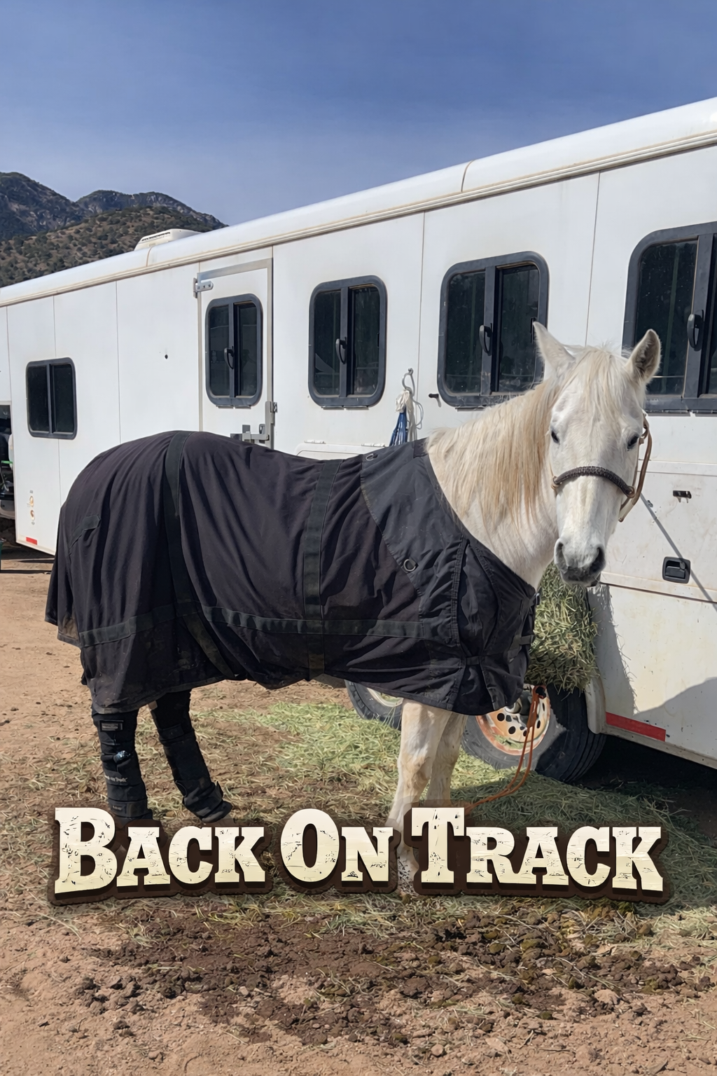 Back On Track Products