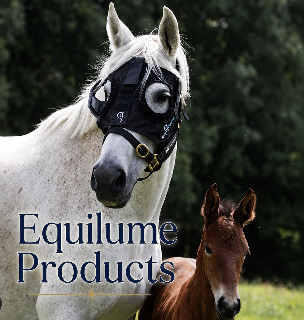 Equilume Products