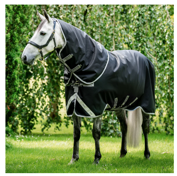 Horse Blankets and sheets