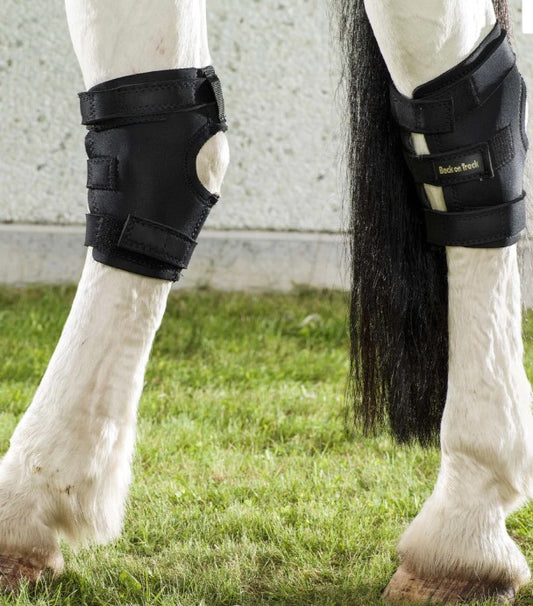 Back On Track Hock Boot w/holes
