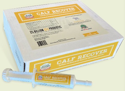Calf Recover