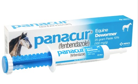 Panacur Equine Dewormer Paste, 25gm