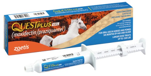 Quest Plus Gel Dewormer and Boticide for Horses, 14.4gm