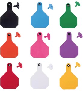 Y-Tex 4 Star Combo Ear Tag - Large (25 count)