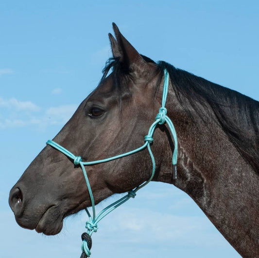 Classic Equine Premium Rope Halter