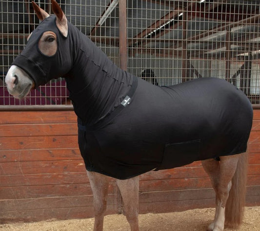 Classic Equine Slinky